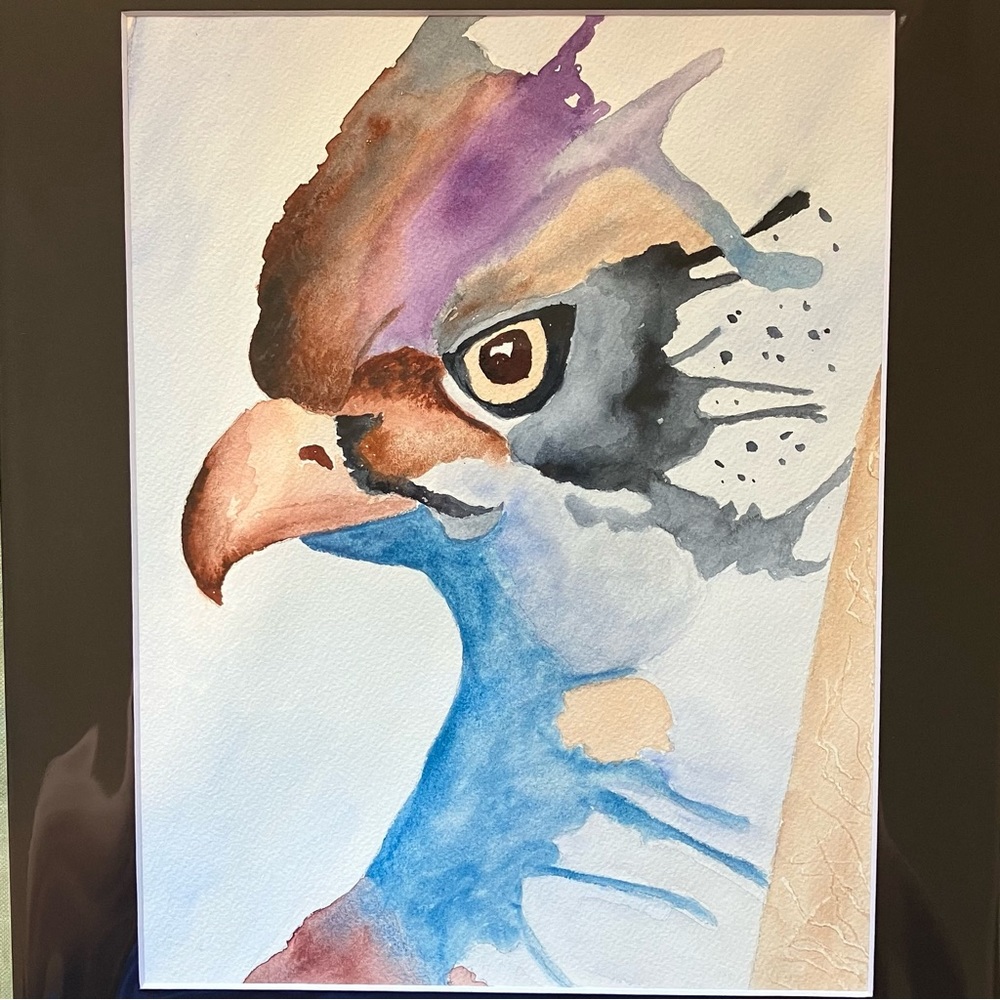 Watercolor Semi Abstract Bird Animal Wall Art, Eagle Painting in Art Kit, 11x14"